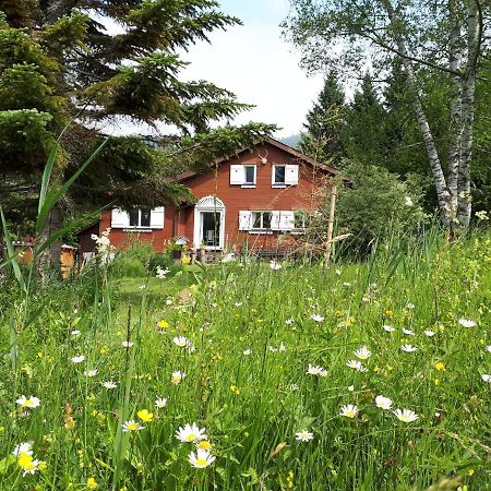 Chalet Chic Wildhaus Ngoại thất bức ảnh